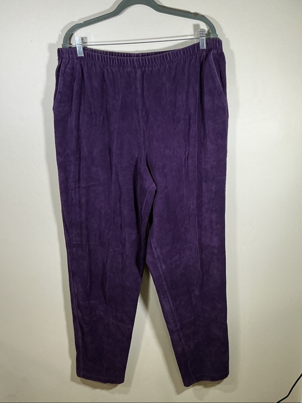 Lands' End Deep Purple Velour Elastic Waist Pants
